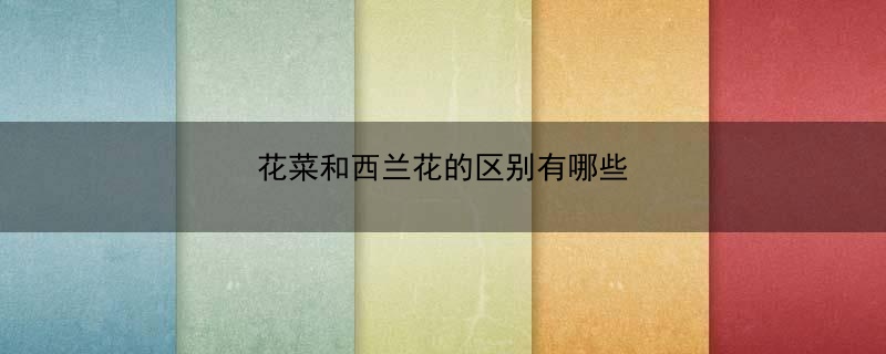 花菜和西兰花的区别有哪些