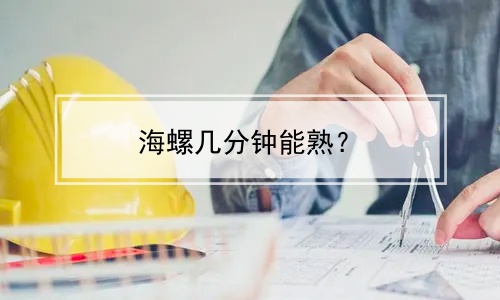 海螺几分钟能熟？