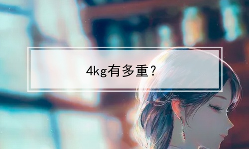4kg有多重？