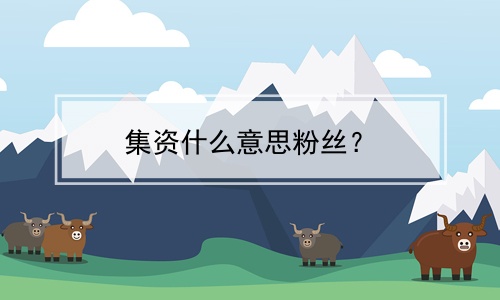 集资什么意思粉丝？